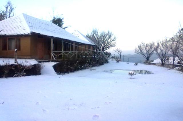 Oyo 43476 Vatika Resort Shimla Zewnętrze zdjęcie